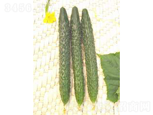 GL03-3�S��-�S�ϷN��-�V��