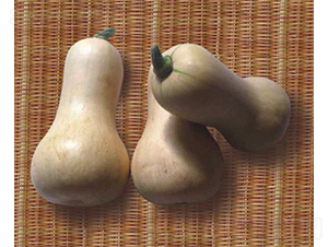 �V��8̖�����Ϲ�-�ϹϷN��-�V��