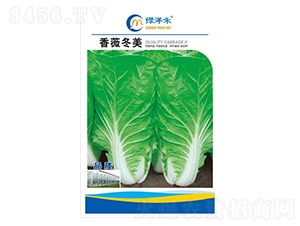 ��ޱ����-��˷N��-�G���