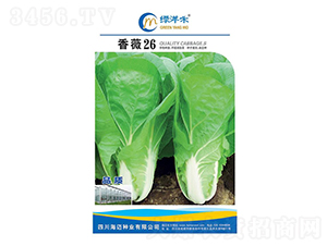 ��ޱ26-�ײ˷N��-�G���