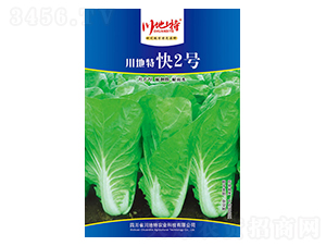 �����ؿ�2̖(h��o)-�ײ˷N��-������