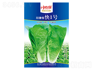 �����ؿ�1̖(h��o)-�ײ˷N��-������