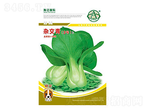 �s����3̖-С��˷N��-���~���H