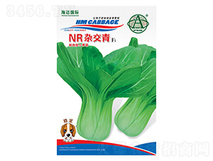 NR�s����-С��˷N��-���~���H