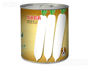 NR�C��-���}���N��-���~���H