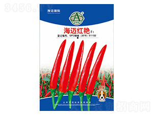 ���~�t�G-�����N��-���~���H