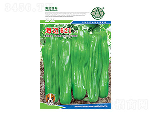 ���~621-�����N��-���~���H