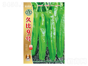 �ñ�9̖-�����N��-���~���H