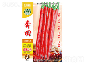 ����-�����N��-���~���H