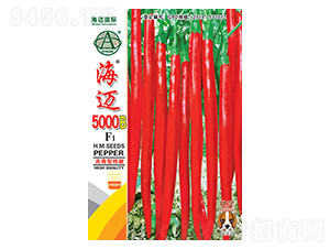 ���~5000B-�����N��-���~���H