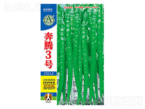奔騰3號(hào)-辣椒種子-海邁國際