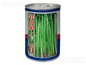 �FѪ��-�����N��-���~���H