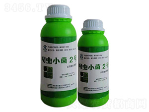 叼蟲(chóng)小菌2號(hào)-云葉生物