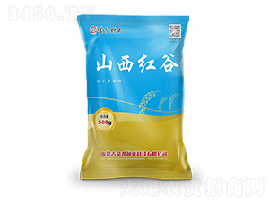 ɽ���t��-���ӷN��-�����N�I(y��)