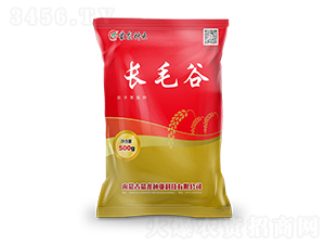 �Lë��-���ӷN��-�����N�I(y��)