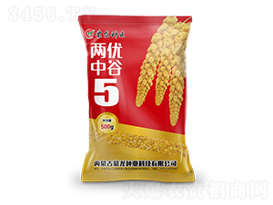 �Ƀ�(y��u)�й�5-���ӷN��-�����N�I(y��)