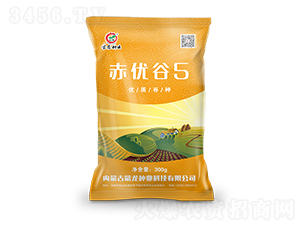 ����(y��u)��5-���ӷN��-�����N�I(y��)