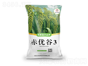 ����(y��u)��3-���ӷN��-�����N�I(y��)