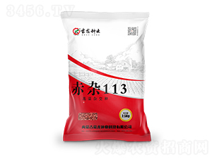 ���s113-�����N��-�����N�I(y��)