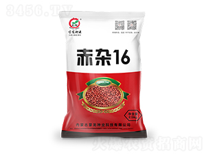 ���s16-�����N��-�����N�I(y��)