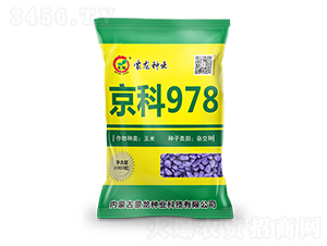 ����978���S��-���׷N��-�����N�I(y��)