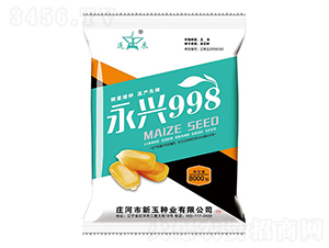 永興998-玉米種子-新玉種業(yè)