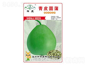 ��Ƥ�A��-��ϷN��-��¹�N�I(y��)