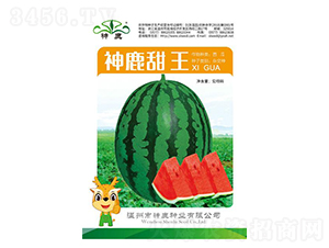 ��¹�������ϷN��-��¹�N�I(y��)