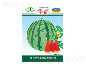 �A�����ϷN��-��¹�N�I(y��)