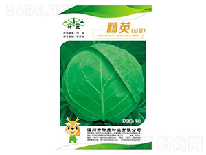 ��Ӣ���{(l��n)�N��-��¹�N�I(y��)