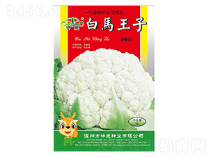 ���R����80��-��Ҭ�˷N��-��¹�N�I(y��)