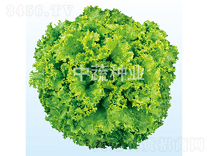 ������-���˷N��-���߷N�I(y��)