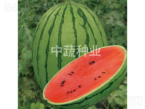 ����-���ϷN��-���߷N�I(y��)