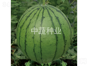 ����-���ϷN��-���߷N�I(y��)