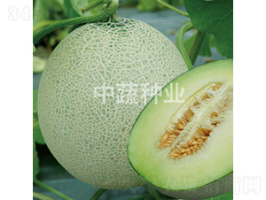 ����5̖(h��o)-��ϷN��-���߷N�I(y��)