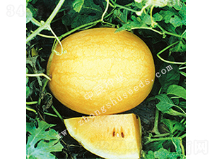 ����2̖(h��o)-��ϷN��-���߷N�I(y��)