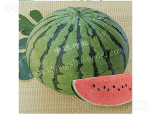 ����-���ϷN��-���߷N�I(y��)