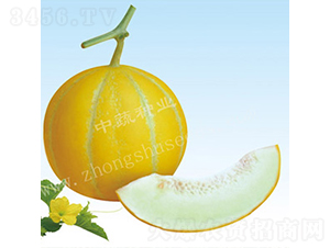 IVF185-��ϷN��-���߷N�I(y��)