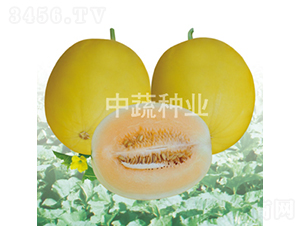 IVF117-��ϷN��-���߷N�I(y��)