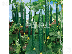 ���r(n��ng)46-�S�ϷN��-���߷N�I(y��)