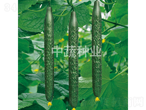 ���x���r(n��ng)27̖(h��o)-�S�ϷN��-���߷N�I(y��)