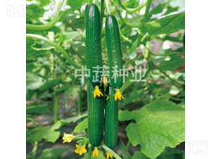 ���r(n��ng)49-�S�ϷN��-���߷N�I(y��)