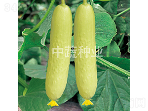 ���r(n��ng)����2̖(h��o)-�S�ϷN��-���߷N�I(y��)