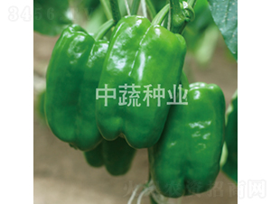 �����н�252-�����N��-���߷N�I(y��)