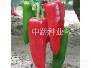 �н�106-�����N��-���߷N�I(y��)