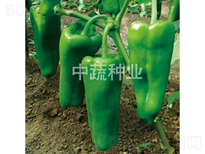 �н�306-�����N��-���߷N�I(y��)