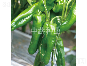 �н�506̖(h��o)-�����N��-���߷N�I(y��)