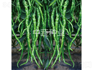 �н�L2-�����N��-���߷N�I(y��)