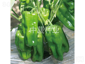 �н���Ƥ��1̖(h��o)-�����N��-���߷N�I(y��)