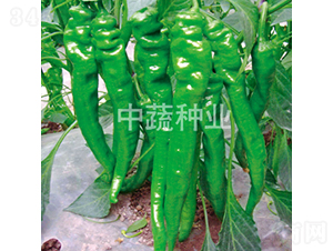 �н�109̖(h��o)-�����N��-���߷N�I(y��)